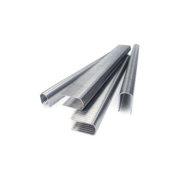 TACWISE Agrafes pour câble CT-60/14 mm, galvanisé