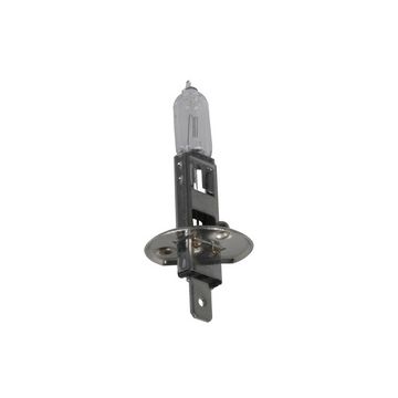 cartrend Ampoule halogène H1 pour projecteur principal, 12 V