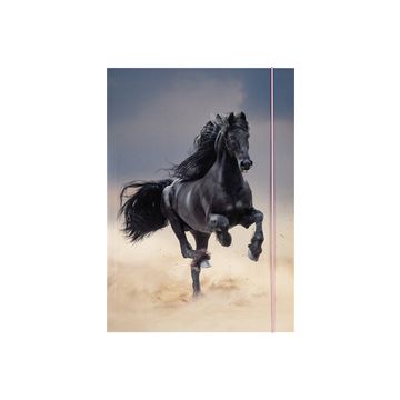folia Pochette de rangement à dessins BASIC "Black Horse",A3