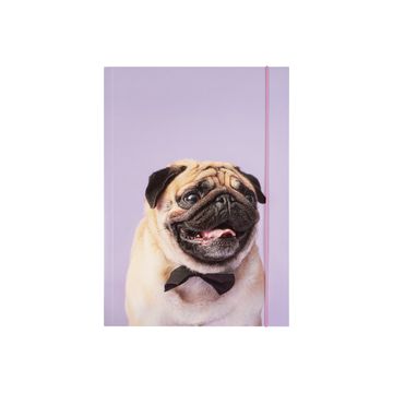 folia Pochette de rangement à dessins BASIC "Puggy Love", A3