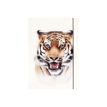 folia Pochette de rangement à dessins BASIC "Roaring Tiger"