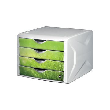 helit Module de classement "the chameleon", décor springtime