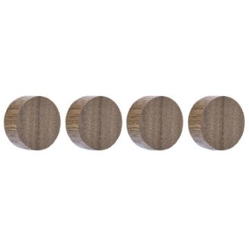 magnetoplan Aimant néodyme Circle Wood Series, noyer