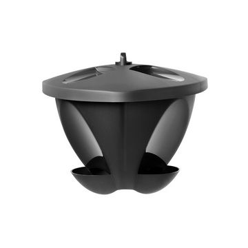 orthex Mangeoire pour oiseaux BIRDIE, noir