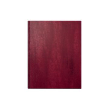 rido idé Buchkalender "Managerkalender TM Belnova", 2026