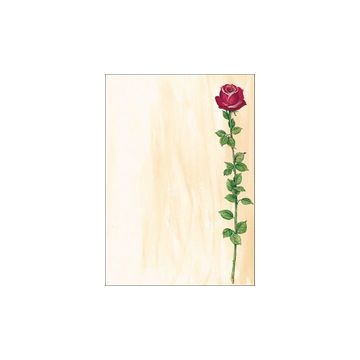 sigel Papier à motif, A4, 90 g/m2, motif "Rose Bloom"