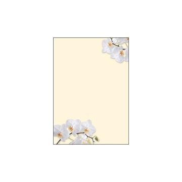 sigel Papier à motif, A4, 90 g/m2, motif "White Orchid"