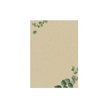 sigel Papier design, papier "Eucalyptus", A4, 100 g/m2