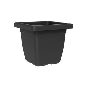 tera Soucoupe "Nazca", largeur: 290 mm, anthracite